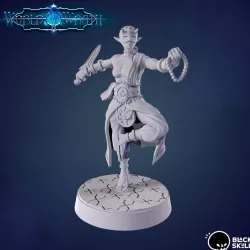 $4.99Tara P2 (Elf/Monk)