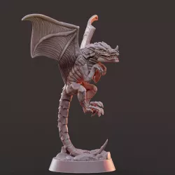 $5.00Dragon Flying