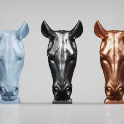 $5.00Horse head