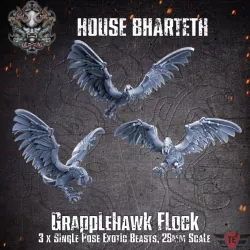 $5.00House Bharteth - Cyber Hawk Flock