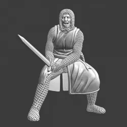 $5.00Medieval squire fighting