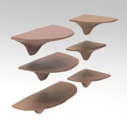 $5.00Mushroom shelves