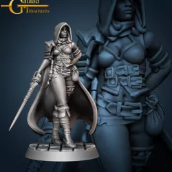 $5.00Raven - Female Rogue