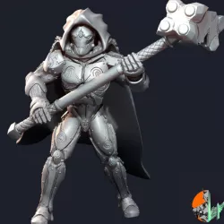 $5.99Warforged Paladin