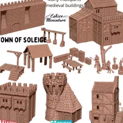 $50.00Town of Soleige - 28mm for medfan wargame