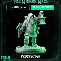$6.00Prospector - THE MIRROR MAZE - MASTERS OF DUNGEONS QUEST
