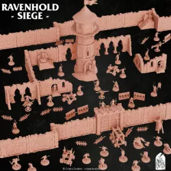 $60.00BUNDLE | The Siege of Ravenhold