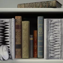 $8.00Mimic Booknook