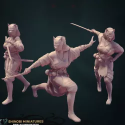 $9.99Shinobi Bundle