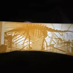 Barosaurus Lithophane