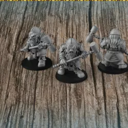 Dwarf fighter