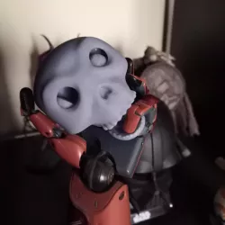 Flexi Skull