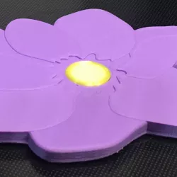 Flower Coaster