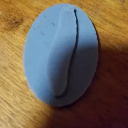 planarian or flatworm coin