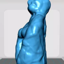 ScottFHallSculpture027