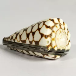 Shell Snuffbox
