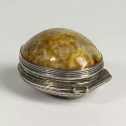 Shell Snuffbox