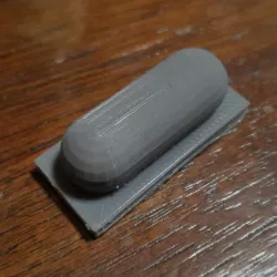 simple bacteria