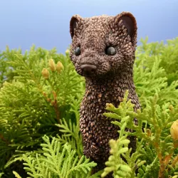 Stoat