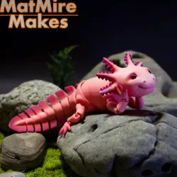 $2.98Adorable Articulated Axolotl, Print-In-Place Body, Snap-Fit Head, Cute Flexi