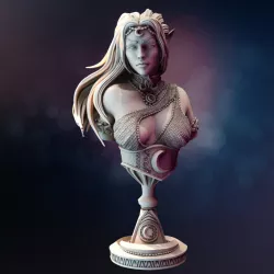 $3.00Drow Moon Priestess BUST - Kadna Glyndrel