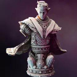 $3.00Drow Moon Sorcerer BUST - Yunas