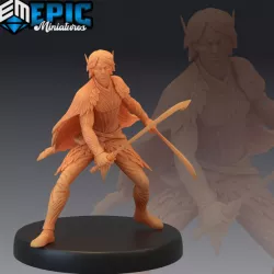 $3.90Fey Elf Spring Dual Sword / Male Forest Warrior / Fairy Elvish Tribe