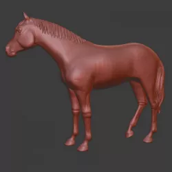 $4.00Anglo-Arabian, thoroughbred horse