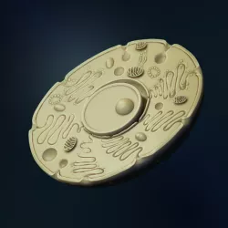 $4.80Animal cell