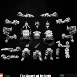 $5.00Bits Guard of Rebirth