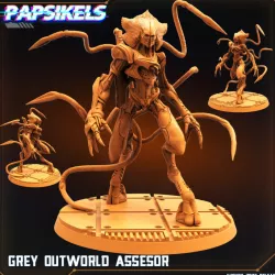 $7.99GREY OUTWORLD ASSESOR
