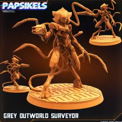 $7.99GREY OUTWORLD SURVEYOR