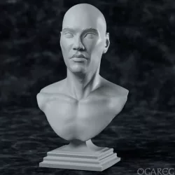 Academic Human bust