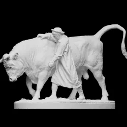Bull