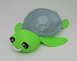 Cute Turtle