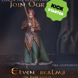 Elven lady with sword