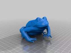 Frog.