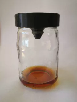 Fruit fly trap / Fruchtfliegenfalle