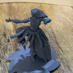 Half Elf Monk