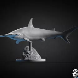 Hammerhead Shark
