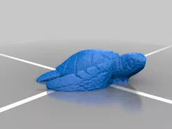 Hawaiian Turtle