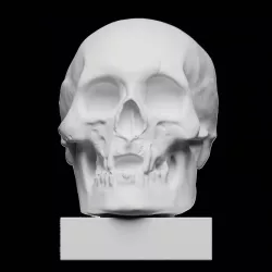 King Robert the Bruce's Skull