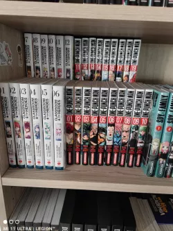 manga / book support