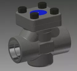 2" check valve socket weld