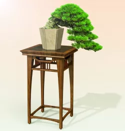 Bonsai Table "Cascade"