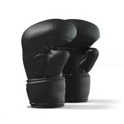 Boxing Gloves 3D model