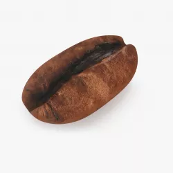 Coffee Bean 3D model