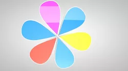 Color Flower 3D 3D model