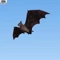  Common Bat 3D model