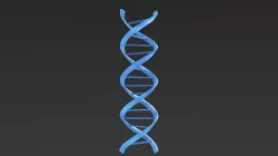 DNA helix 3D model